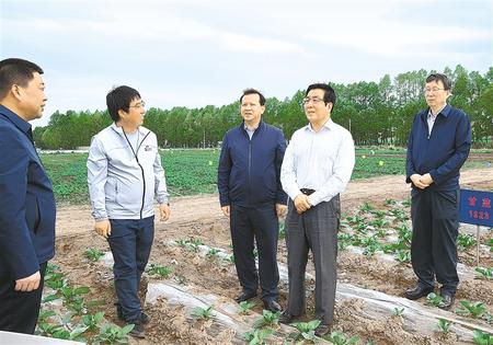 林鐸在天?？h調研指導脫貧攻堅工作時強調  拉開架勢持續用力構建扶貧產業體系 多措并舉固強補弱鞏固提升脫貧成果