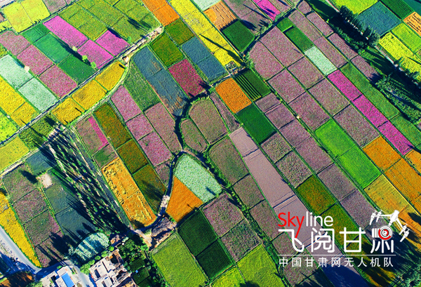 【飛閱甘肅】疏勒河灌區：一幅描繪在大漠深處的絢麗畫卷