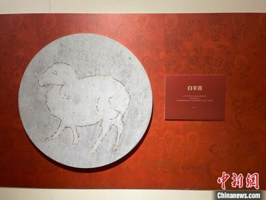 圖為展覽現(xiàn)場。 江楊燁 攝 圖為展覽現(xiàn)場。 江楊燁 攝