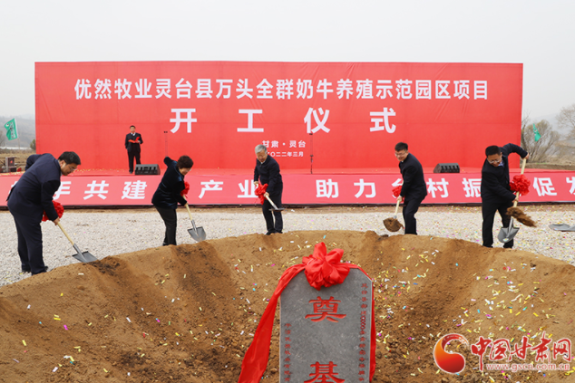 總投資7.2億元！優然牧業靈臺縣萬頭全群奶牛養殖示范園區項目開工