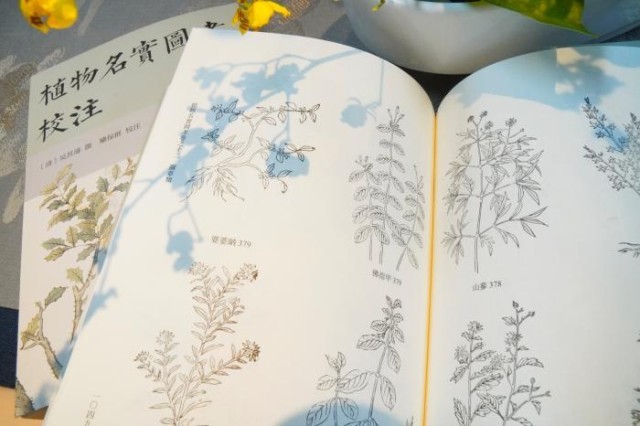 《植物名實(shí)圖考校注》內(nèi)頁。圖片來源:中華書局供圖