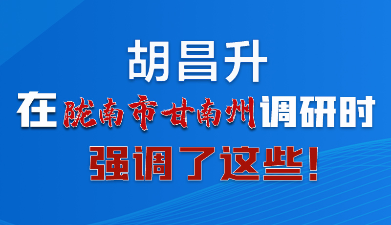 圖解|胡昌升在隴南市甘南州調(diào)研時強(qiáng)調(diào)了這些！