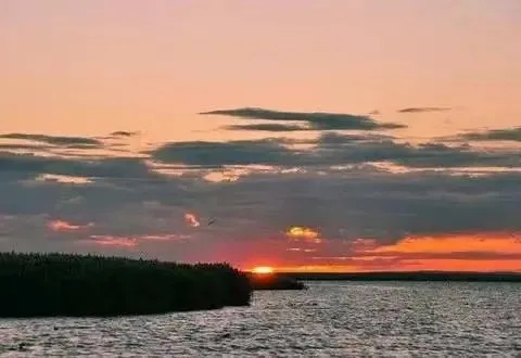 1719788932266405.jpg 20240701_071250_005.jpg