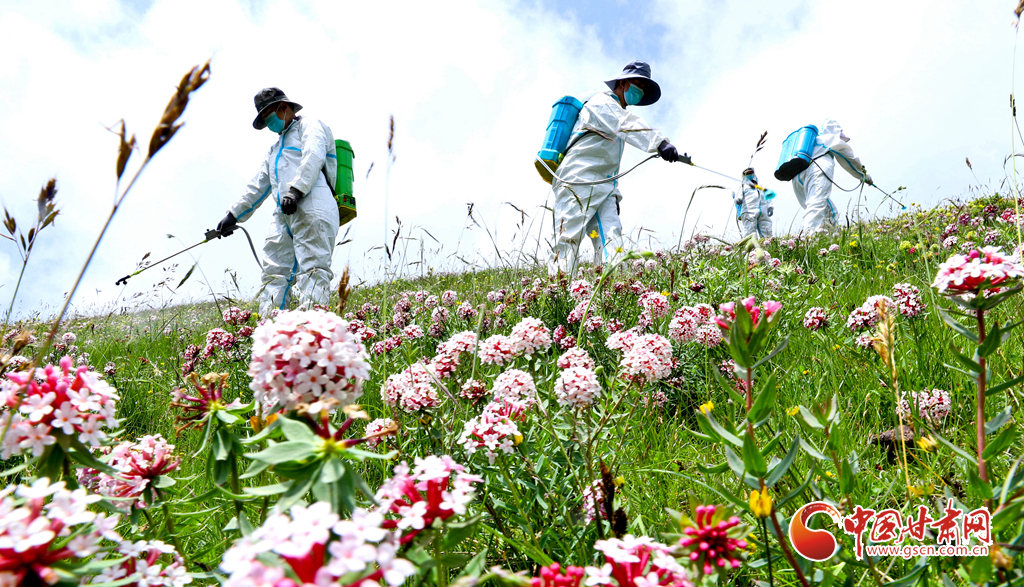 “三北”工程林草濕荒一體化保護修復鏖戰正酣