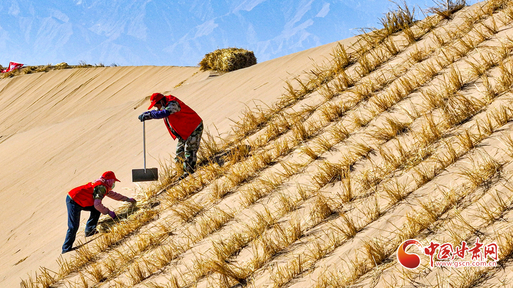 初冬時節巴丹吉林沙漠忙“鎖邊”
