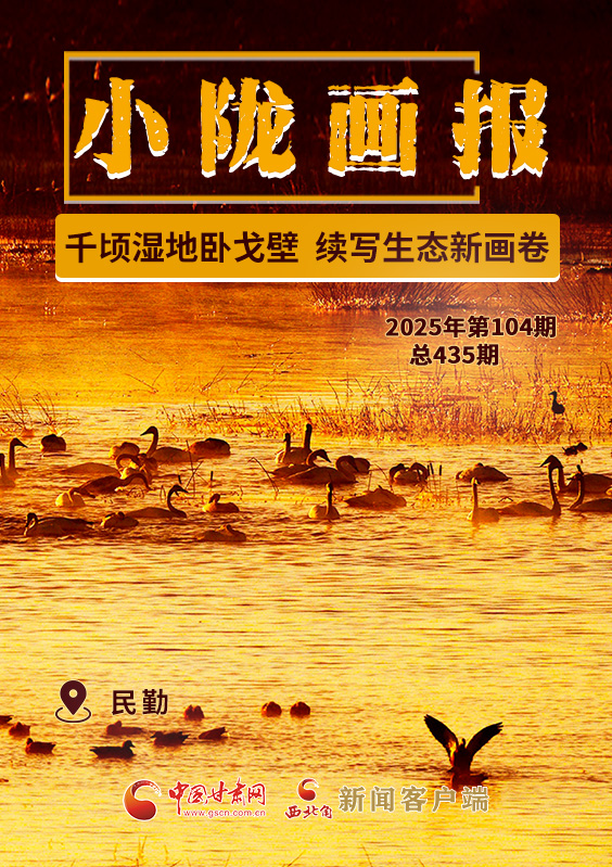 【小隴畫報·435期】民勤:千頃濕地臥戈壁 續寫生態新畫卷