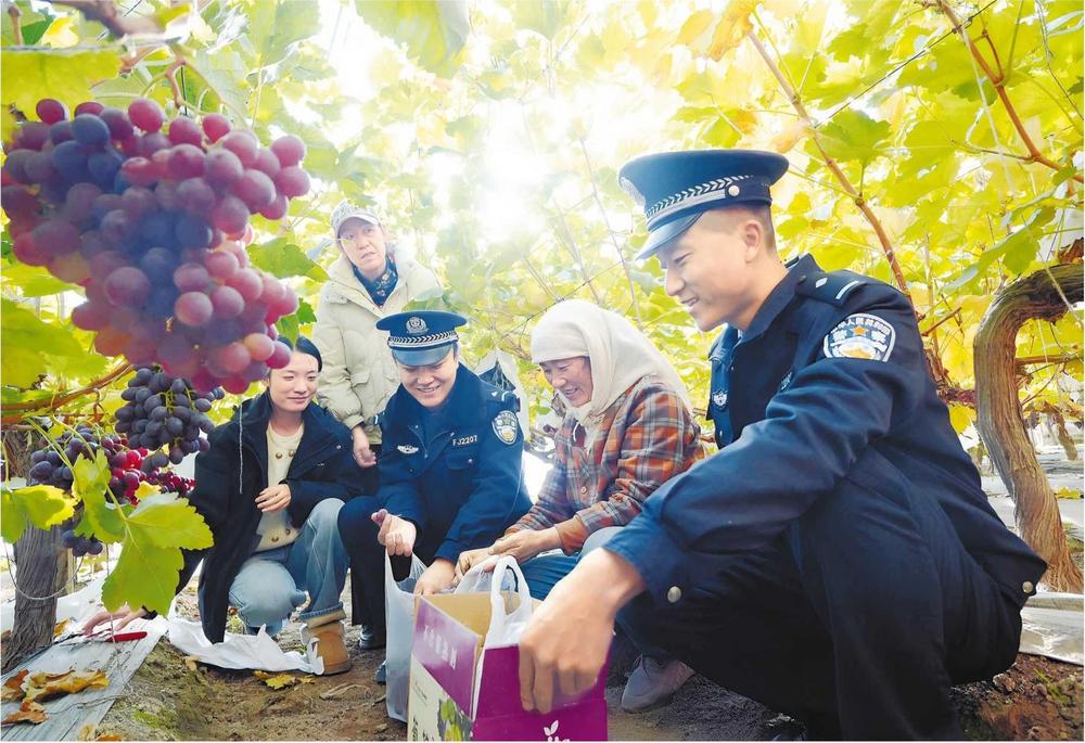 “大棚警務”讓果農安心客商放心